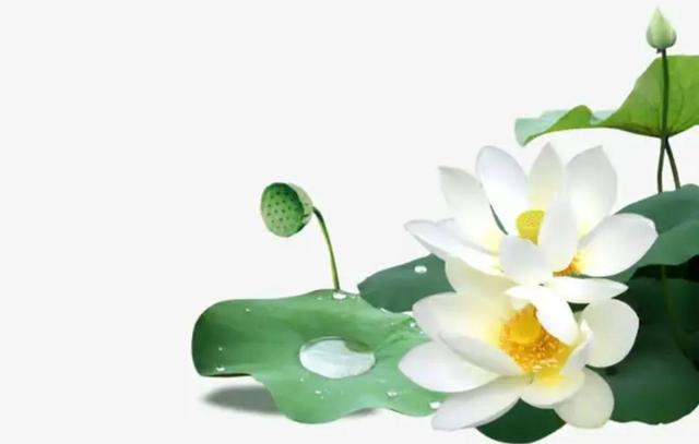 七戒是哪七戒，七戒是哪七戒秒懂百科（人生九戒，你都知道吗）