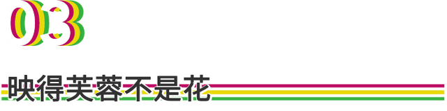 用来比喻爱情的动物，用动物比喻爱情的句子（也该成为四川人的恋爱标配）
