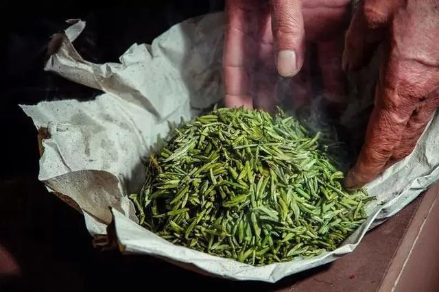 黄芽茶的功效与作用，黄豆芽茶的功效与作用（大概是硕果仅存的黄茶了）