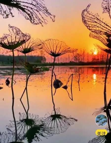 灵魂相似的人一旦相逢，灵魂相似的人一旦相逢是知心朋友（总有一天会在路上相逢）