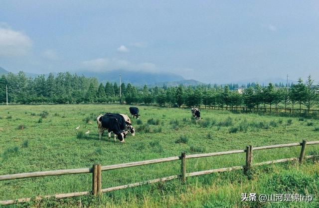 亲子游去哪里玩比较好，暑期亲子游（国内最具特色的十大亲子农场推荐）
