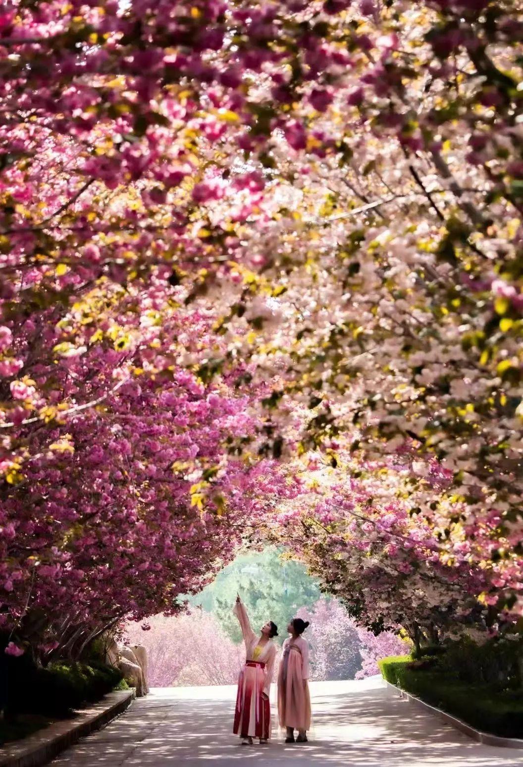 荣成风景区有哪些，荣成周边景点（来荣成这些打卡景区景点采撷好春光）