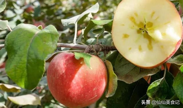 哪种形状的苹果好吃，苹果哪样的好吃（这4个地方还不错）