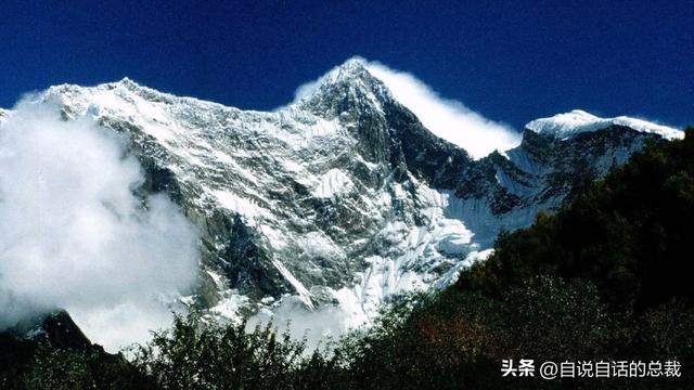 塔黄是什么植物，它被藏民预言为末日神山