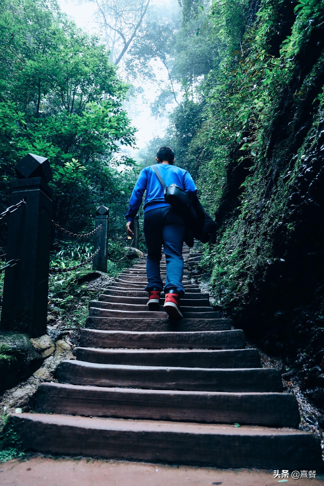 青城山后山门票(青城山后山景区门票)