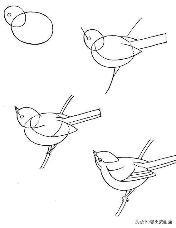小学生简笔画，小学生简笔画图片大全（分享30个超详细的简笔画教程）
