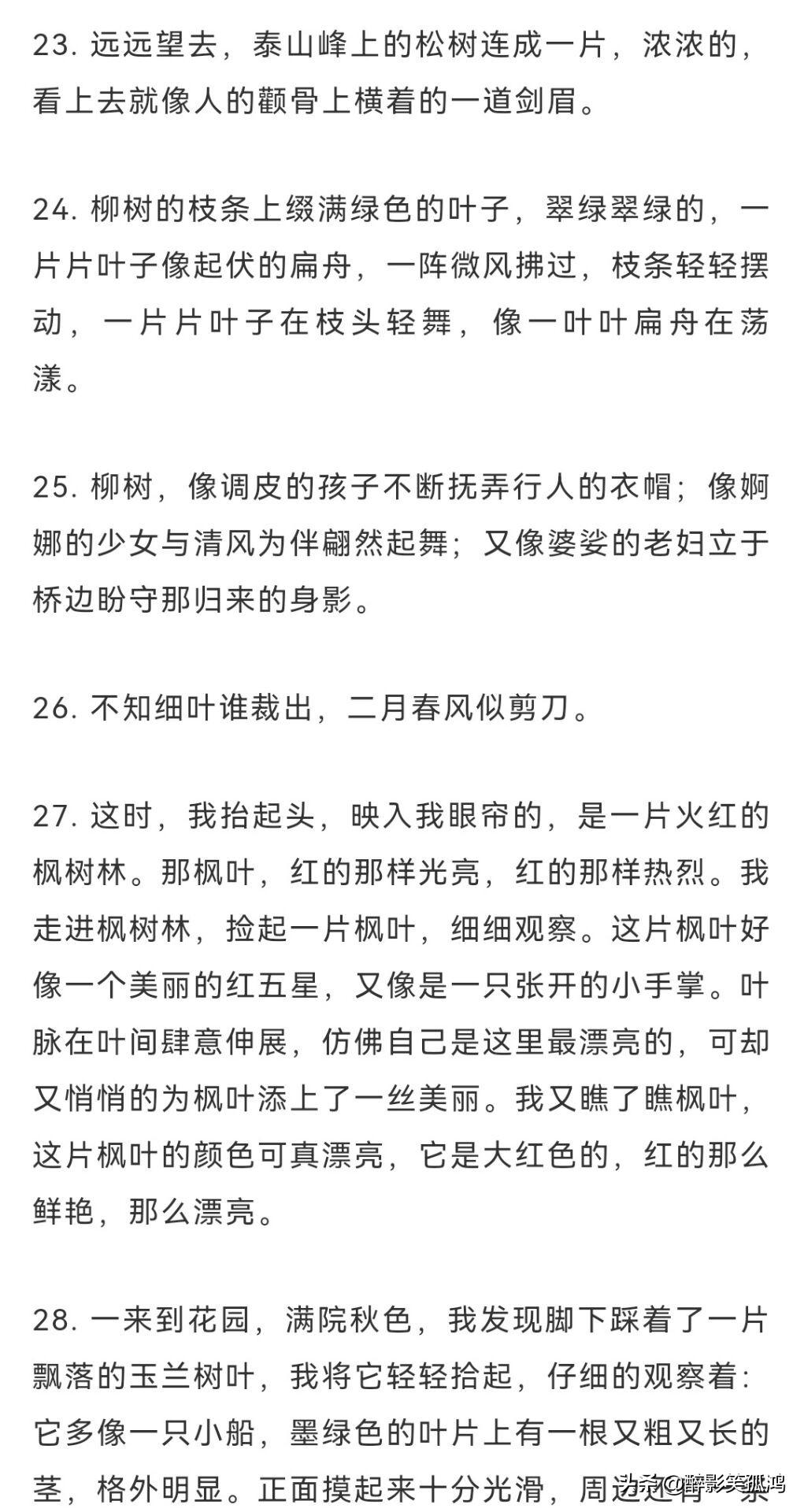 大自然的优美语句，大自然优美语句（描写自然景物的好句好段）