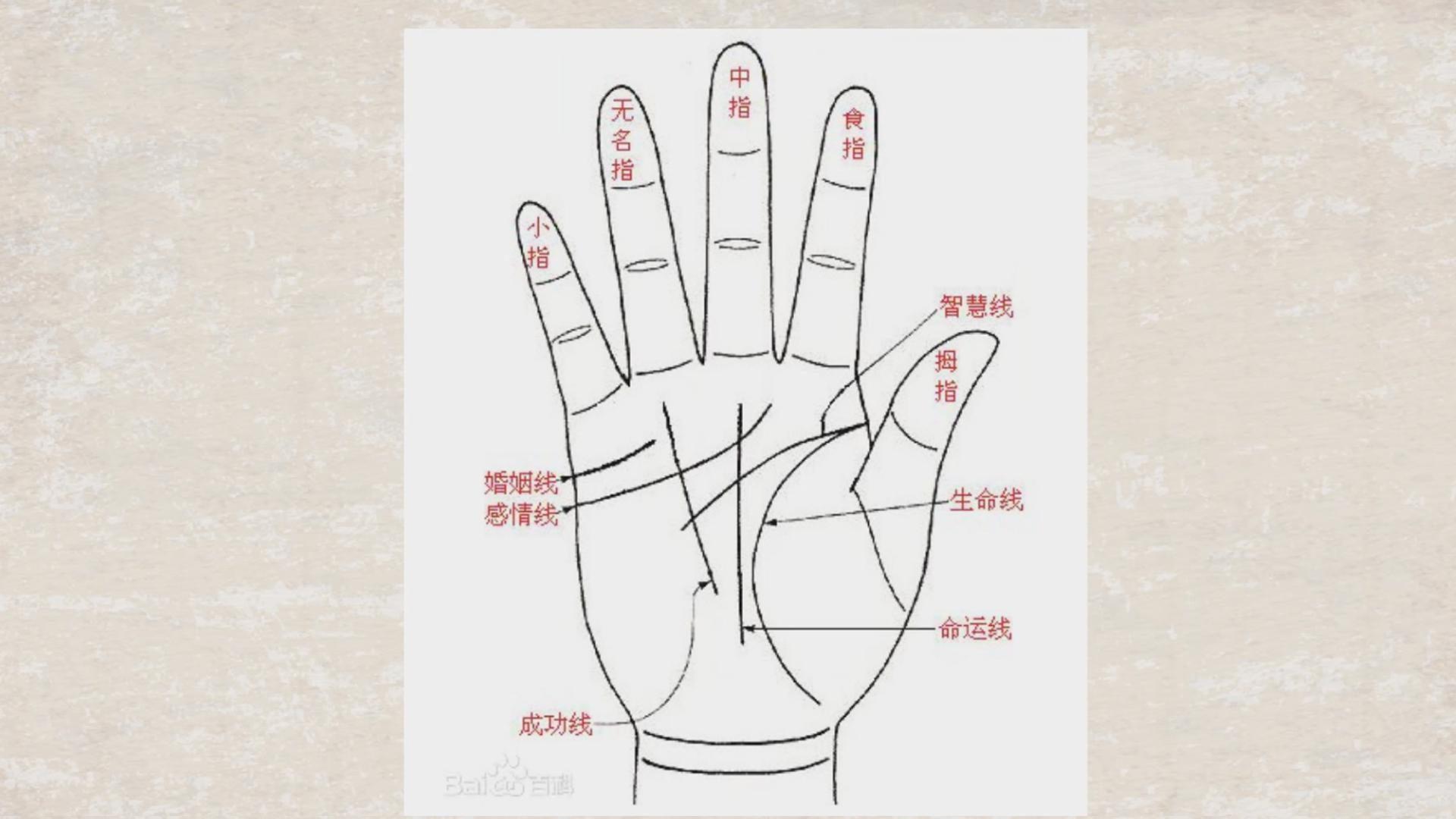 手掌大指头短的手相,"女人指头短-相术-荣耀易学