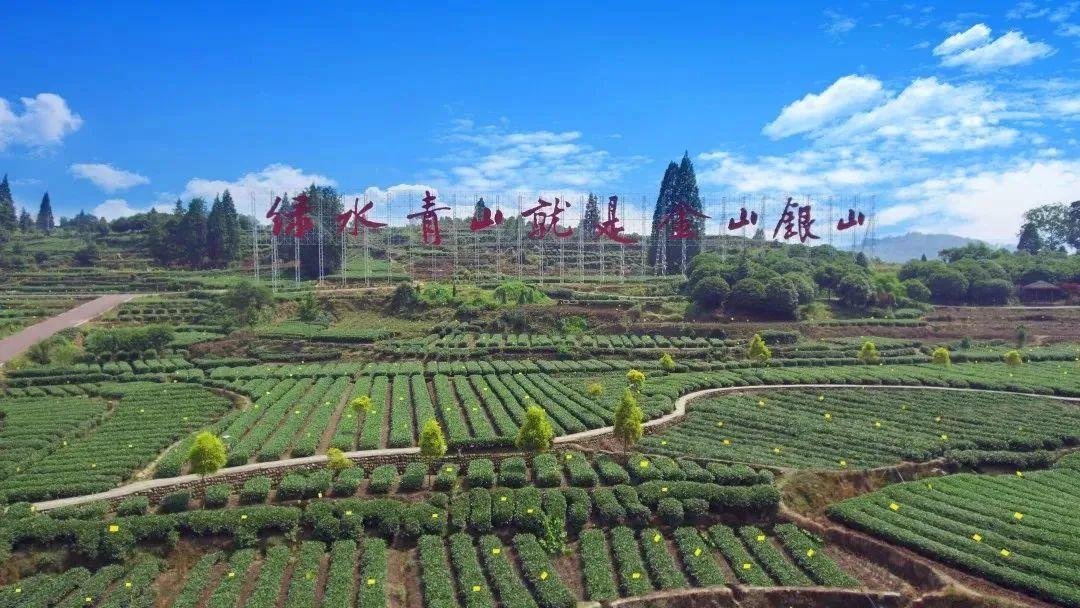 农业投资项目(特色农业种植项目介绍)
