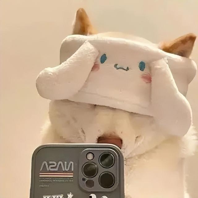 超甜的情侣头像，超级甜的情头微信（130张情侣、闺蜜头像）