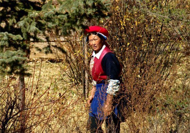 例外服饰（世界各地的传统服饰）