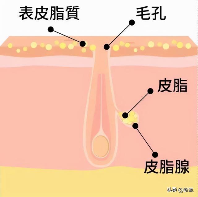 艾玛沃特森图片，艾玛沃特森正脸照（看到艾玛沃特森的近照）