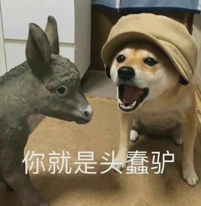 哼唧唧歪歪，微信头像，哼唧唧歪歪（猫猫狗狗表情包/哼哼）