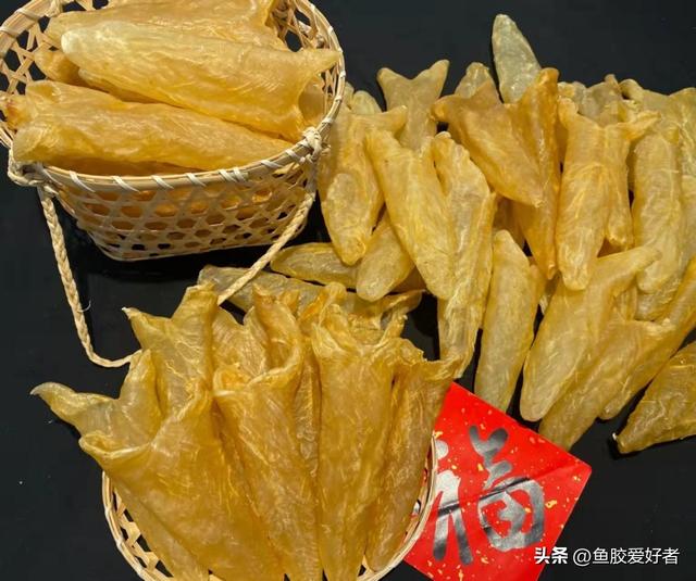 鱼胶品种怎么分的，鱼胶品种大全图片（今天鱼胶爱好者教你来挑选）