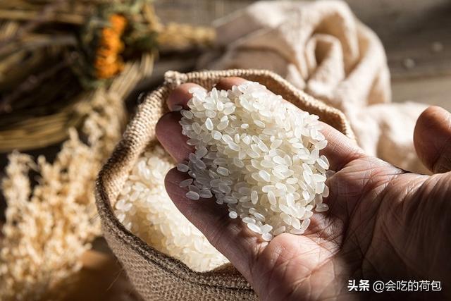 什么大米最好吃，五种公认好吃的东北大米（10种大米比较出名）