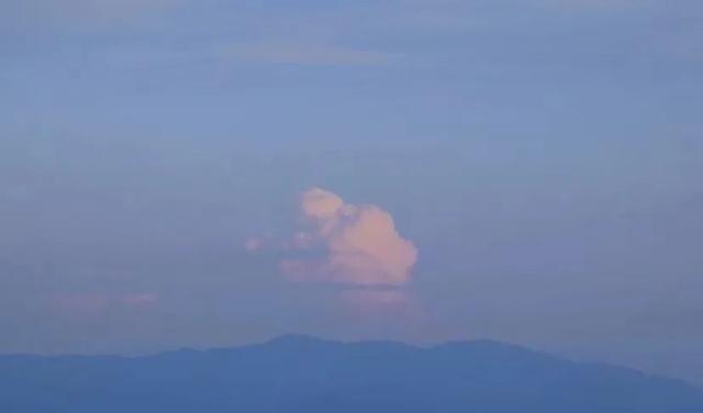 云南最好吃的野生菌在哪，中国最浪漫城市非她莫属