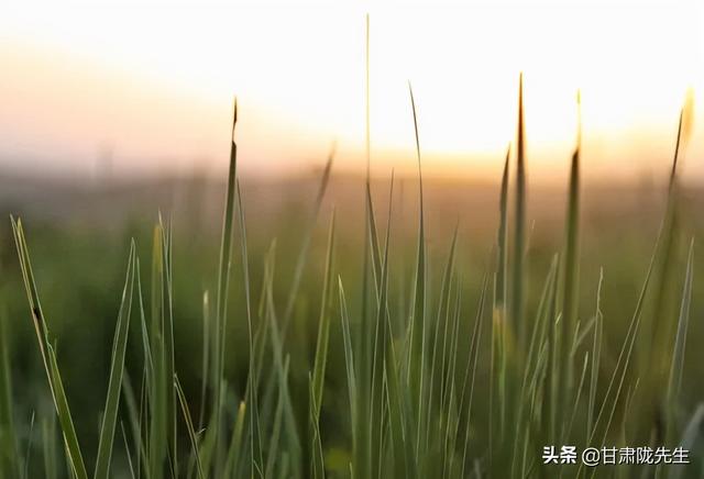 张掖海拔多少米，张掖风景名胜区（张掖，一座被严重低估的城市）