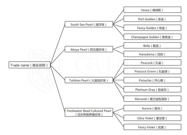 什么珍珠最好，什么珍珠最好看（看懂这4点就能买到高档次的珍珠）