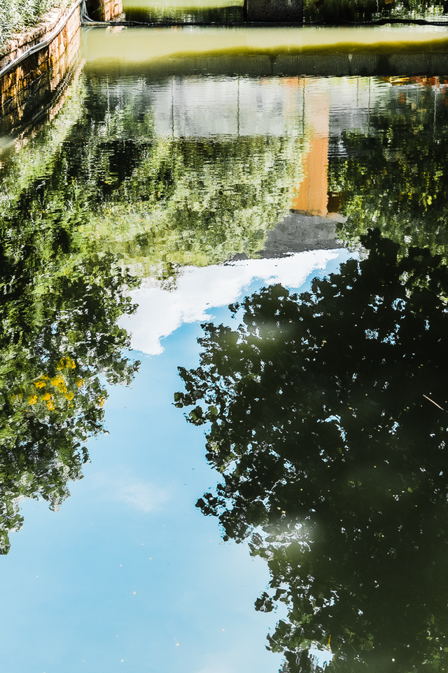 深圳海洋世界攻略，海洋馆、水秀剧场、梦幻巡游…在这里全都有