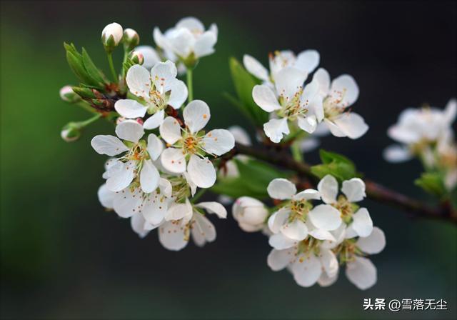 男人极力掩饰喜欢你，男人极力掩饰喜欢你是什么心理（男人会忍不住爱上你）