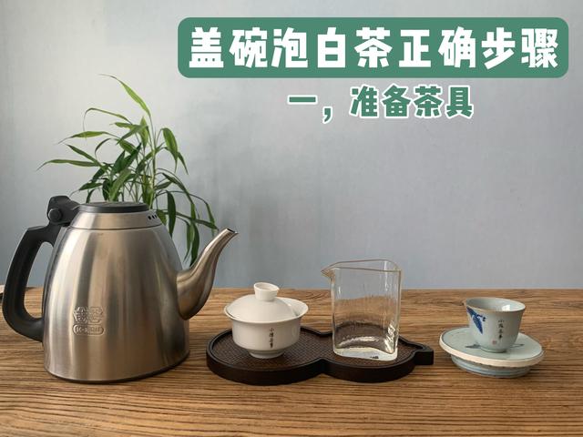 茶道入门泡茶顺序，茶道入门茶道基本步骤（教你用最少的时间从菜鸟到高手）