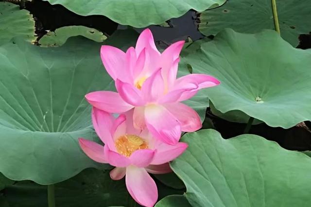 七戒是哪七戒，七戒是哪七戒秒懂百科（人生九戒，你都知道吗）