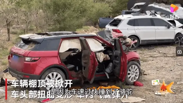 盘点出车祸的明星，一个比一个腕大，太可惜了