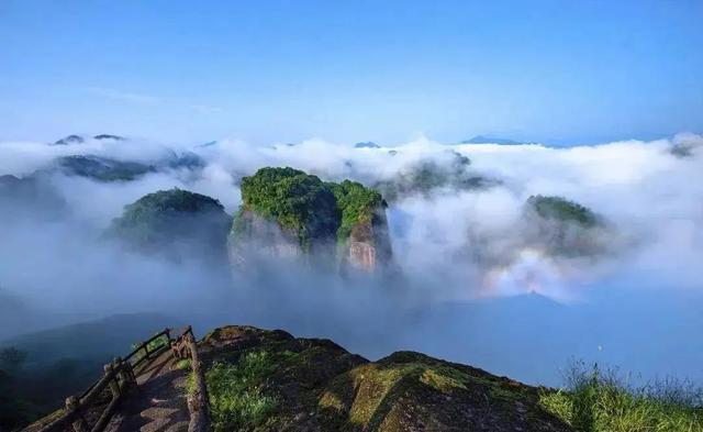 武夷山是哪个市，武夷山在福建哪个市（久违的旅行，从武夷山开始）