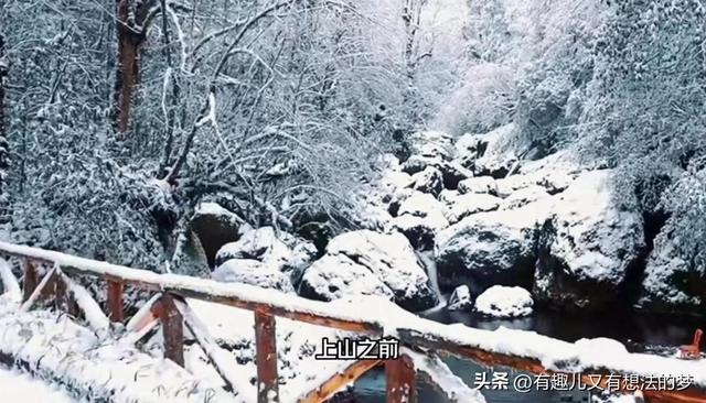 密室逃脱4迷失森林攻略，密室逃脱绝境四迷失森林攻略第一关Jimmy（80%的成都人都不知道的耍雪宝藏地）