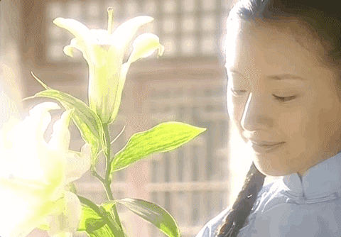 潘粤明董洁离婚原因，董洁为什么那么恨潘粤明（她为什么会和潘粤明离婚）