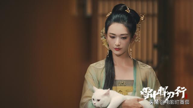 王鸥主演的电视剧，王鸥电视剧有哪些（这9部期待很高的网文电视剧）