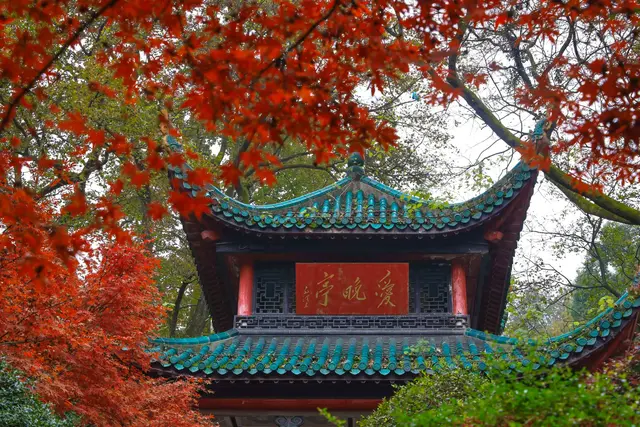 长沙市内十大公园，长沙本地人告诉你这10个地方不能少