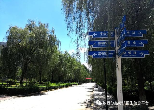 西安市所有五年制大专详细点，西安五年制大专有哪些（走进“省级示范院校”—西安医学高等专科学校）