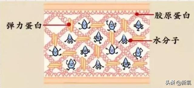 韩艺瑟电影，超了那个“要结婚的年纪”又如何（韩艺瑟新剧）