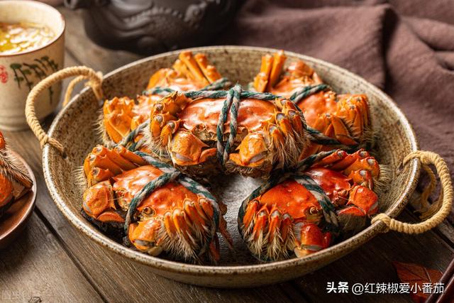 形容自己长胖的幽默调侃句子，形容自己胖了的幽默调侃句子（用鲁迅、甄嬛、林黛玉的话怎么幽默表达）