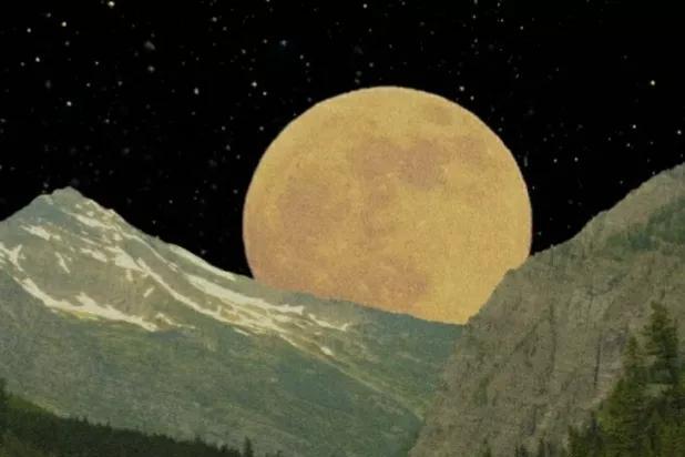 没有版权的音乐，如何下载没有版权的音乐（你要的521高级文案来啦）