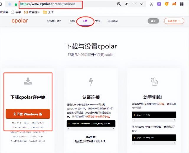 如何建立公司局域网，公司服务器怎么搭建（利用cpolar远程登录公司OA系统）