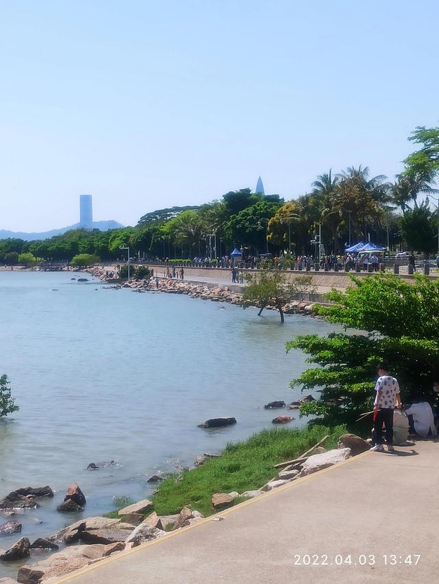 深圳湾公园在哪里，去深圳湾公园怎么预约（深圳湾公园）