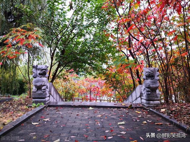 秋雨的特点，秋雨的特点要读出什么语气（三年级语文上册第6课《秋天的雨》课文讲解）