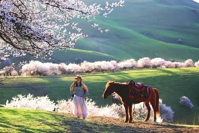 最浪漫的地方，国内浪漫的旅游地方（国内最浪漫的10个甜蜜旅行圣地）