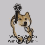 饿狼传说歌词，饿狼传说歌词谐音（这歌太魔性了）