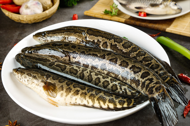什么鱼适合清蒸，什么鱼适合蒸（带你认识不同的鱼和吃法）