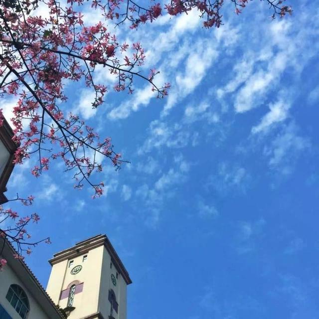 2022全国海洋科学类专业大学排名 最好的十大高校，2022全国海洋科学类专业大学排名（中山大学登顶全国第一）