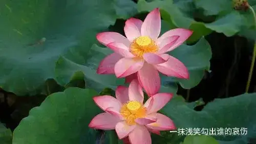 家庭中，你会坚持做哪些事“保护”自己？