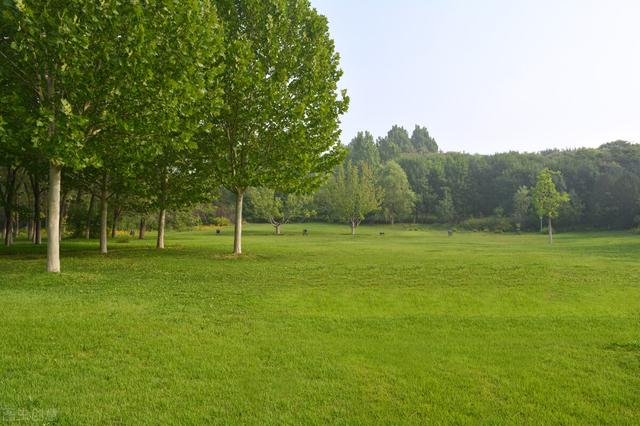 北京湿地公园有哪些景点好玩，北京公园推荐︱10个值得一去的免费公园