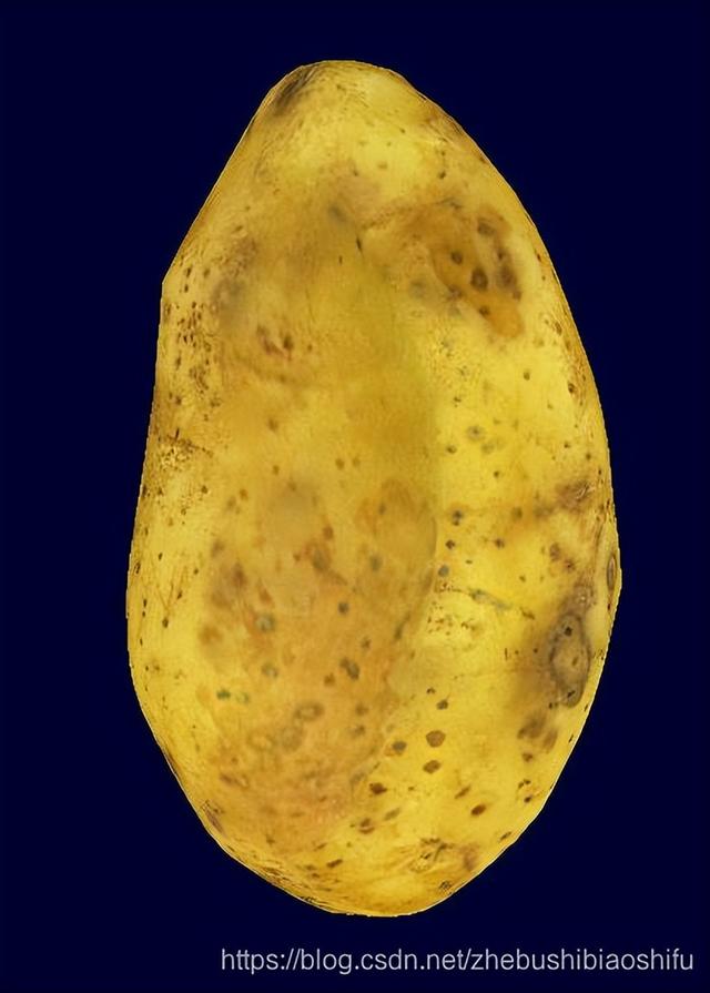 知末网官网3d模型效果图，知末3d模型网（3DSOM软件实现基于侧影轮廓方法的空间三维模型重建）