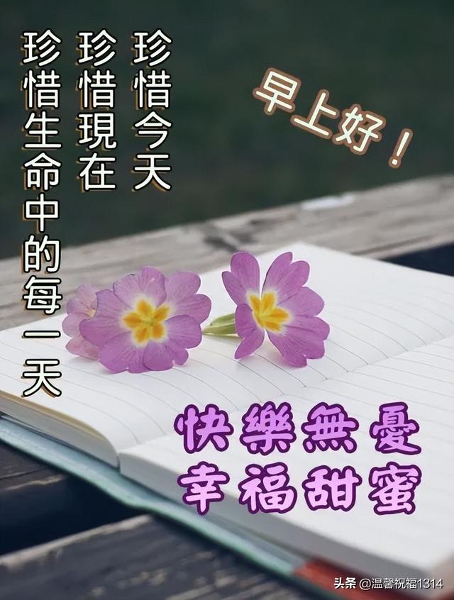 每日的问候语大全，特别暖心的早安句子（每天一份早上好问候语）