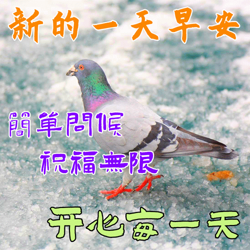 关于美好祝福的句子，关于美好祝福的句子简短（朋友圈早安带字问候朋友图片）