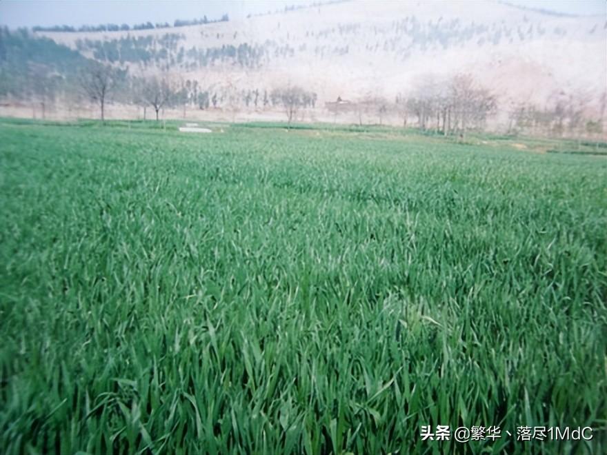 徐州市铜山区()