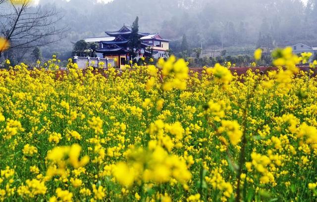 景德镇旅游景点必去，景德镇旅游景点必去南山（一定要去的N个地方...）